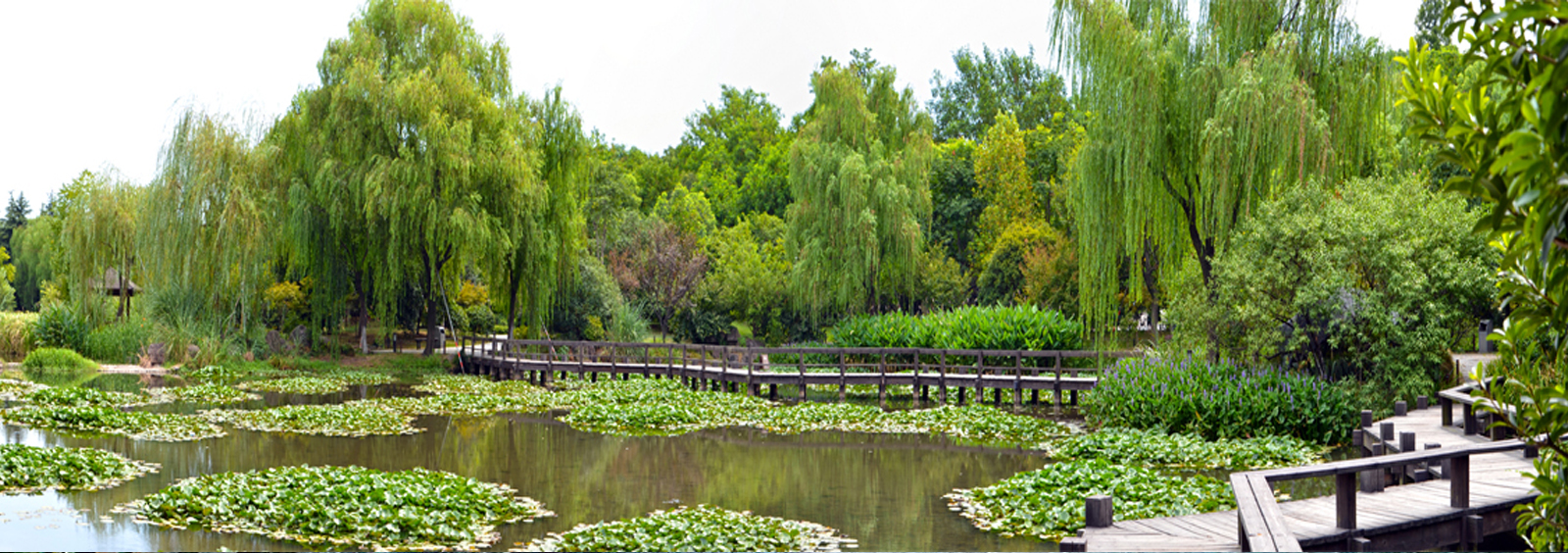 url(http://www_tc-mm_cn.hcxyl.com/theme/TP000163/pic/banner4.jpg)